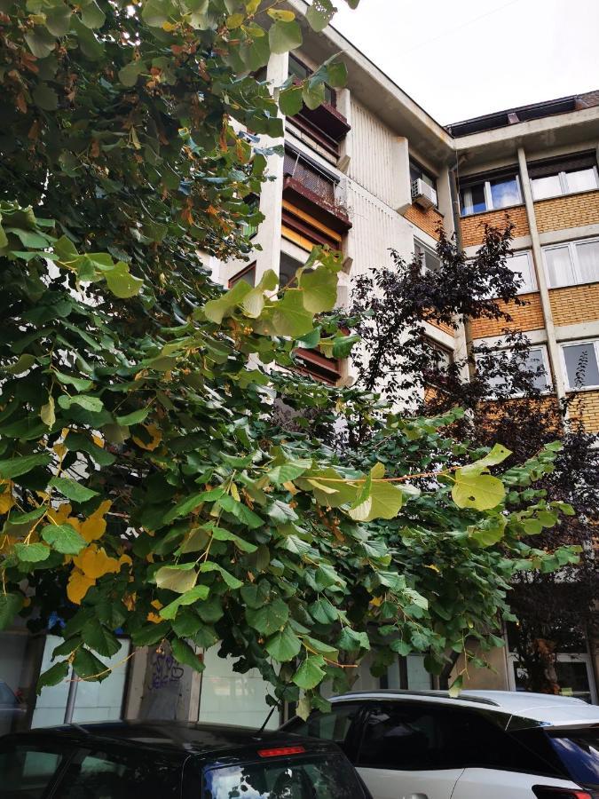 T&A Paraćin Exterior foto